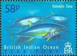 Colnect-1425-769-Yellowfin-Tuna--Thunnus-albacares.jpg