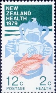 Colnect-951-861-Goatfish---Underwater-Photographer.jpg