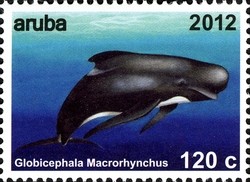 Colnect-1622-505-Short-finned-Pilot-Whale-Globicephala-macrorhynchus.jpg