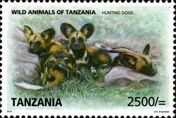 Colnect-1692-780-African-Wild-Dog-Lycaon-pictus.jpg