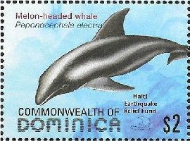 Colnect-3292-980-Melon-headed-Whale-Peponocephala-electra.jpg