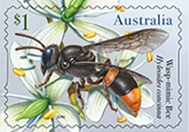 Colnect-5826-091-Wasp-Mimic-Bee.jpg