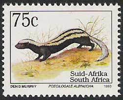 Colnect-800-938-African-Striped-Weasel-Poecilogale-albinucha.jpg