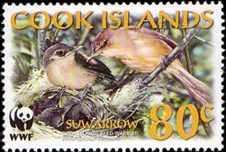 Colnect-993-860-Cook-Islands-Reed-Warbler-Acrocephalus-kerearako-.jpg