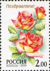 Colnect-781-288-Rose--Kandy----text--Congratulations-.jpg