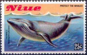Colnect-3383-101-Fin-whale.jpg