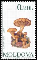Colnect-507-803-Mushrooms.jpg