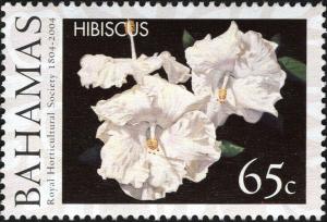 Colnect-5974-042-Hibiscus.jpg