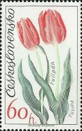 Colnect-414-054-Tulips.jpg