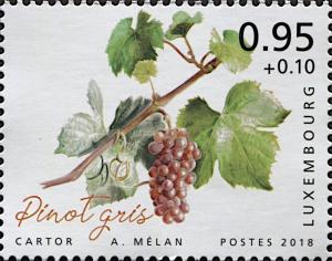 Colnect-6287-005-Pinot-Gris.jpg