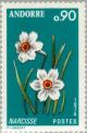 Colnect-141-907-Narcissus.jpg