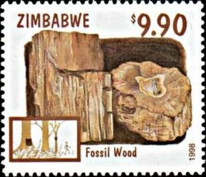 Colnect-3351-360-Fossil-Wood.jpg
