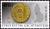Colnect-5268-430-Gulden-coin.jpg