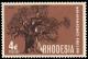 Colnect-1173-730-Baobab-Tree.jpg