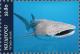 Colnect-6070-530-Whale-Shark.jpg