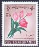 WSA-Afghanistan-Postage-1961-10.jpg-crop-173x209at446-862.jpg