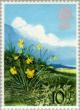 Colnect-122-114-Daffodil.jpg