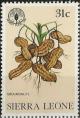 Colnect-2387-814-Groundnuts.jpg