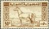 Colnect-1481-415-Arab-Horse.jpg