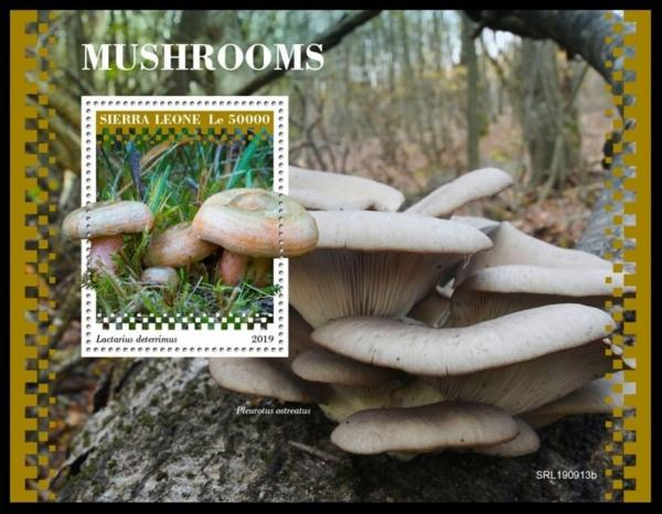 Colnect-6213-315-Mushrooms.jpg