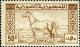 Colnect-1481-415-Arab-Horse.jpg