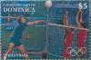 Colnect-3207-518-Volleyball.jpg