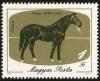 Colnect-587-389-Nonius-36-1883-Equus-ferus-caballus.jpg