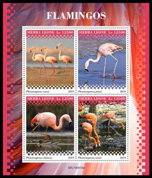 Colnect-6199-518-Flamingos.jpg