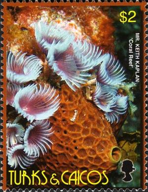 Colnect-2590-119-Coral-Reef.jpg