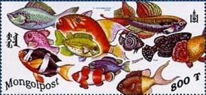 Colnect-2480-451-Various-fish.jpg