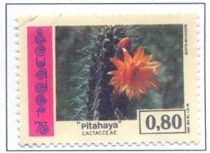 Colnect-2543-281-Pitahaya-sp.jpg