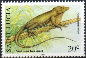 Colnect-2872-831-Tree-lizard.jpg