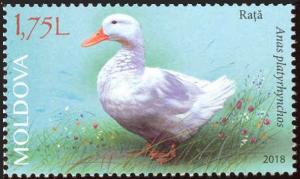 Colnect-5161-767-Duck.jpg