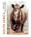 Colnect-5414-220-Rhinoceros.jpg