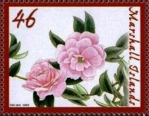 Colnect-6191-421-Camellias.jpg