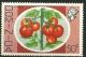 Colnect-1835-219-Tomatoes.jpg