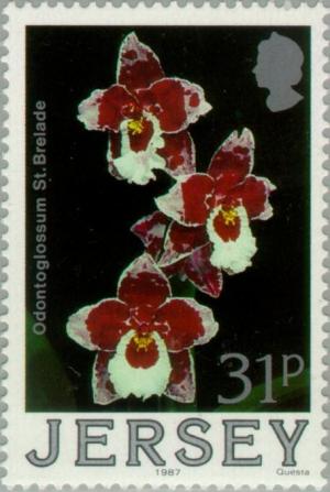 Colnect-127-232-Orchids.jpg