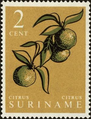 Colnect-4169-872-Citrus-fruit.jpg