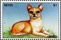 Colnect-4411-230-Chihuahua.jpg