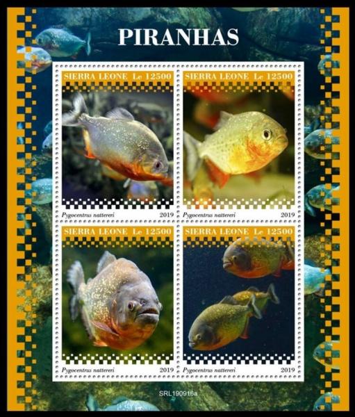 Colnect-6213-320-Piranhas.jpg