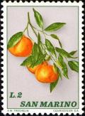 Colnect-1685-533-Mandarines.jpg