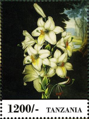 Colnect-2427-340-Flowers.jpg