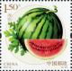 Colnect-3638-335-Watermelon.jpg