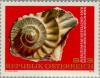 Colnect-136-936-Ammonite.jpg