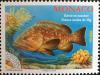 Colnect-5600-673-Grouper-fish.jpg