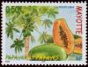 Colnect-851-163-Papaya-tree.jpg
