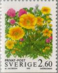 Colnect-164-783-Buttercups.jpg