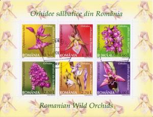 Colnect-1362-783-Wild-Orchids.jpg
