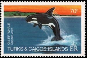 Colnect-3991-003-Orcinus-Orca.jpg