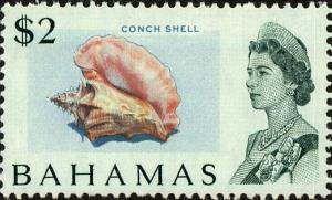 Colnect-4149-883-Conch-Shell.jpg